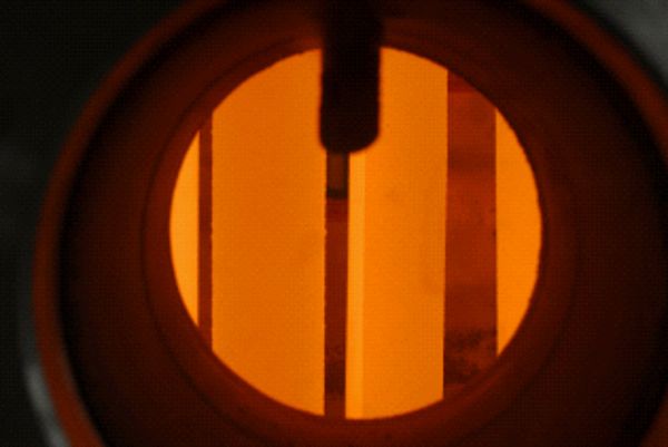 W020241121370130905260