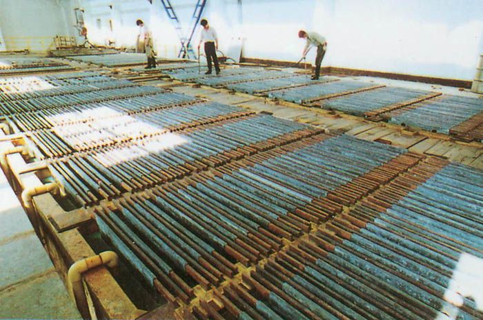 W020241121368846222252