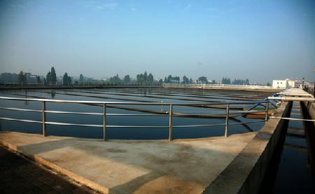 W020241121370510698261