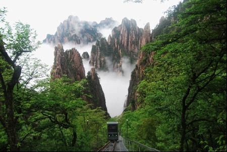 W020241119528351567291