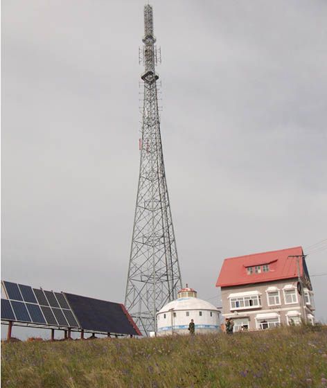 W020241119526078739360