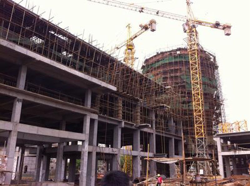 W020241119525558058185